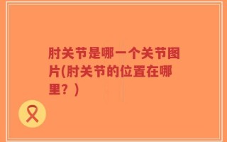 肘关节是哪一个关节图片(肘关节的位置在哪里？)