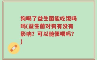 狗喝了益生菌能吃饭吗吗(益生菌对狗有没有影响？可以随便喂吗？)