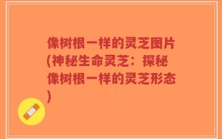 像树根一样的灵芝图片(神秘生命灵芝：探秘像树根一样的灵芝形态)