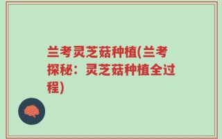 兰考灵芝菇种植(兰考探秘：灵芝菇种植全过程)