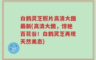 白鹤灵芝照片高清大图最新(高清大图，惊艳百花谷！白鹤灵芝再现天然美态)