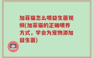 加菲猫怎么喂益生菌视频(加菲猫的正确喂养方式，学会为宠物添加益生菌)