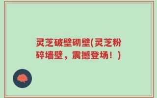 灵芝破壁砌壁(灵芝粉碎墙壁，震撼登场！)