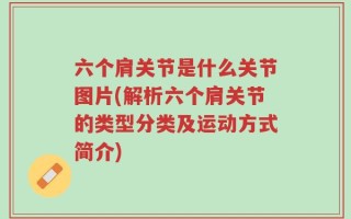 六个肩关节是什么关节图片(解析六个肩关节的类型分类及运动方式简介)