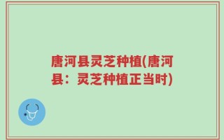 唐河县灵芝种植(唐河县：灵芝种植正当时)