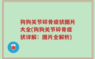 狗狗关节碎骨症状图片大全(狗狗关节碎骨症状详解：图片全解析)