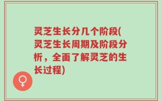 灵芝生长分几个阶段(灵芝生长周期及阶段分析，全面了解灵芝的生长过程)