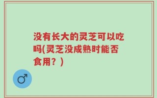 没有长大的灵芝可以吃吗(灵芝没成熟时能否食用？)
