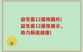 益生菌12菌株图片(益生菌12菌株展示，助力肠道健康)