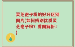 灵芝孢子粉的好坏区别图片(如何辨别优质灵芝孢子粉？看图解析！)