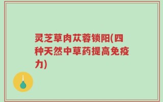 灵芝草肉苁蓉锁阳(四种天然中草药提高免疫力)
