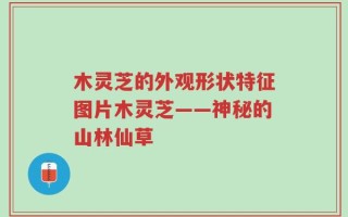 木灵芝的外观形状特征图片木灵芝——神秘的山林仙草