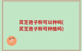 灵芝孢子粉可以种吗(灵芝孢子粉可种植吗)