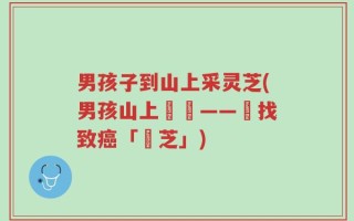 男孩子到山上采灵芝(男孩山上採寶——尋找致癌「靈芝」)