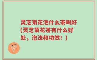 灵芝菊花泡什么茶喝好(灵芝菊花茶有什么好处，泡法和功效！)