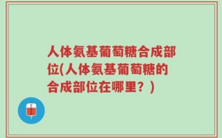 人体氨基葡萄糖合成部位(人体氨基葡萄糖的合成部位在哪里？)