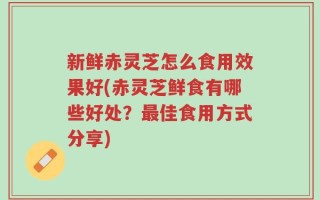 新鲜赤灵芝怎么食用效果好(赤灵芝鲜食有哪些好处？最佳食用方式分享)