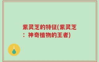 紫灵芝的特征(紫灵芝：神奇植物的王者)