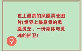 世上最贵的凤凰灵芝图片(世界上最昂贵的凤凰灵芝，一份身体与灵魂的护卫)