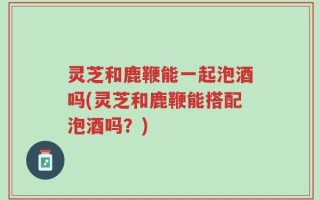 灵芝和鹿鞭能一起泡酒吗(灵芝和鹿鞭能搭配泡酒吗？)