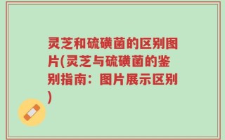 灵芝和硫磺菌的区别图片(灵芝与硫磺菌的鉴别指南：图片展示区别)