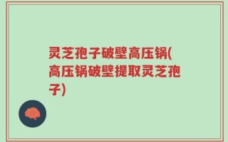 灵芝孢子破壁高压锅(高压锅破壁提取灵芝孢子)