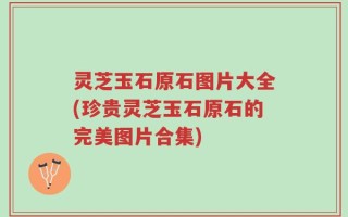 灵芝玉石原石图片大全(珍贵灵芝玉石原石的完美图片合集)