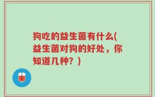 狗吃的益生菌有什么(益生菌对狗的好处，你知道几种？)