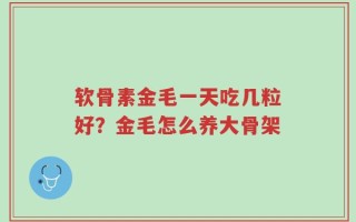 软骨素金毛一天吃几粒好？金毛怎么养大骨架