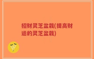 招财灵芝盆栽(提高财运的灵芝盆栽)
