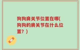 狗狗肩关节位置在哪(狗狗的肩关节在什么位置？)