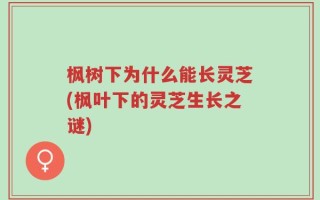 枫树下为什么能长灵芝(枫叶下的灵芝生长之谜)