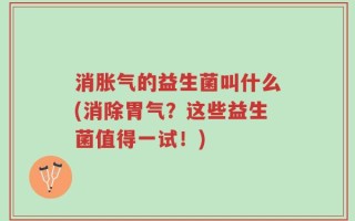 消胀气的益生菌叫什么(消除胃气？这些益生菌值得一试！)