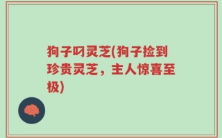 狗子叼灵芝(狗子捡到珍贵灵芝，主人惊喜至极)