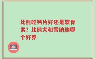 比熊吃钙片好还是软骨素？比熊犬和雪纳瑞哪个好养