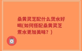桑黄灵芝配什么煲水好喝(如何搭配桑黄灵芝煮水更加美味？)