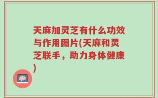 天麻加灵芝有什么功效与作用图片(天麻和灵芝联手，助力身体健康)