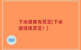 下水道里有灵芝(下水道惊现灵芝！)