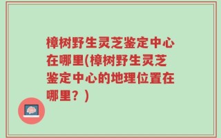 樟树野生灵芝鉴定中心在哪里(樟树野生灵芝鉴定中心的地理位置在哪里？)