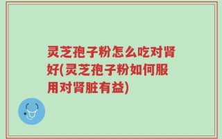 灵芝孢子粉怎么吃对肾好(灵芝孢子粉如何服用对肾脏有益)
