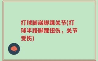 打球脚崴脚踝关节(打球半路脚踝扭伤，关节受伤)
