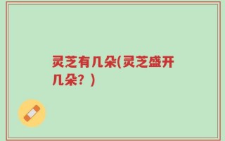 灵芝有几朵(灵芝盛开几朵？)