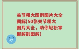 关节粗大图例图片大全图解(50张关节粗大图片大全，助你轻松掌握解剖图解)