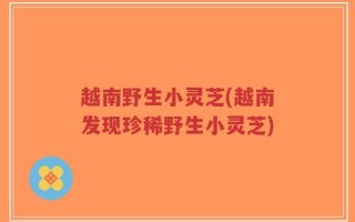 越南野生小灵芝(越南发现珍稀野生小灵芝)