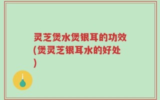 灵芝煲水煲银耳的功效(煲灵芝银耳水的好处)