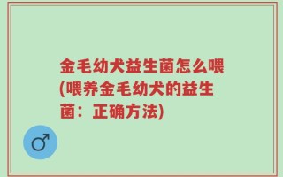金毛幼犬益生菌怎么喂(喂养金毛幼犬的益生菌：正确方法)