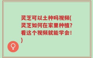 灵芝可以土种吗视频(灵芝如何在家里种植？看这个视频就能学会！)
