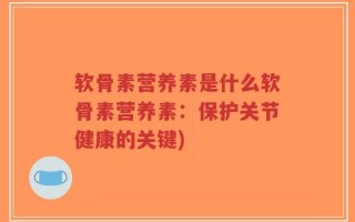 软骨素营养素是什么软骨素营养素：保护关节健康的关键)