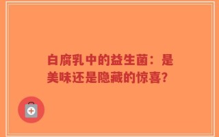 白腐乳中的益生菌：是美味还是隐藏的惊喜？