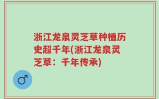 浙江龙泉灵芝草种植历史超千年(浙江龙泉灵芝草：千年传承)